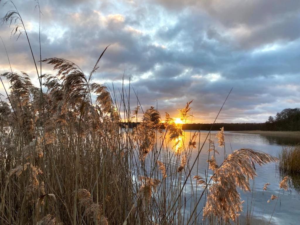 Ferienhaus Direkt Am See Uckermark Templin Exterior foto
